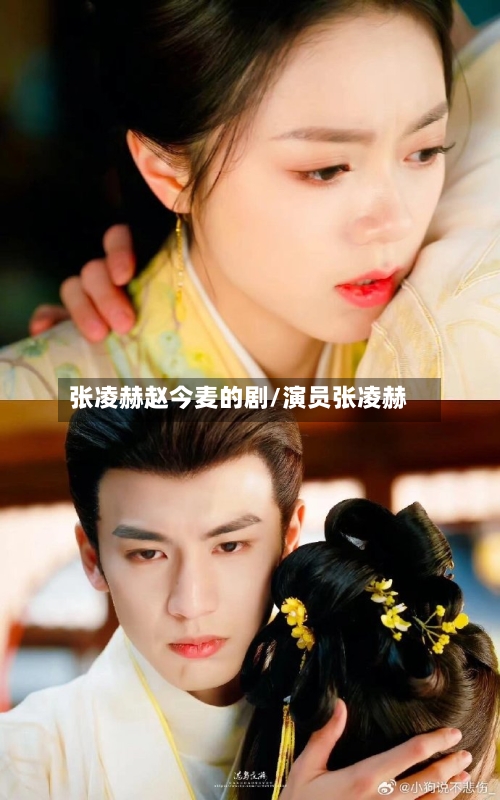 张凌赫赵今麦的剧/演员张凌赫-第2张图片