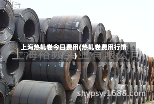 上海热轧卷今日费用(热轧卷费用行情)-第3张图片