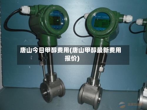 唐山今日甲醇费用(唐山甲醇最新费用报价)-第2张图片