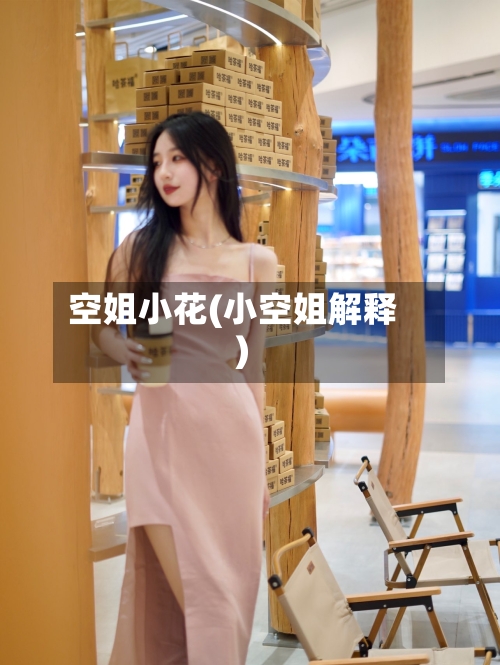 空姐小花(小空姐解释)