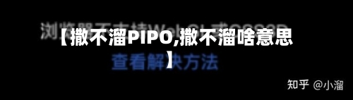 【撒不溜PIPO,撒不溜啥意思】-第3张图片