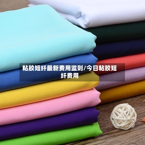 粘胶短纤最新费用监则/今日粘胶短纤费用