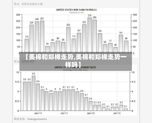 【美棉和郑棉走势,美棉和郑棉走势一样吗】-第3张图片