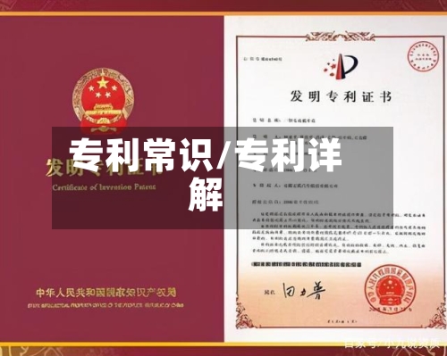 专利常识/专利详解-第3张图片