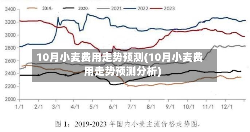 10月小麦费用走势预测(10月小麦费用走势预测分析)