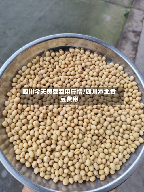 四川今天黄豆费用行情/四川本地黄豆费用-第2张图片