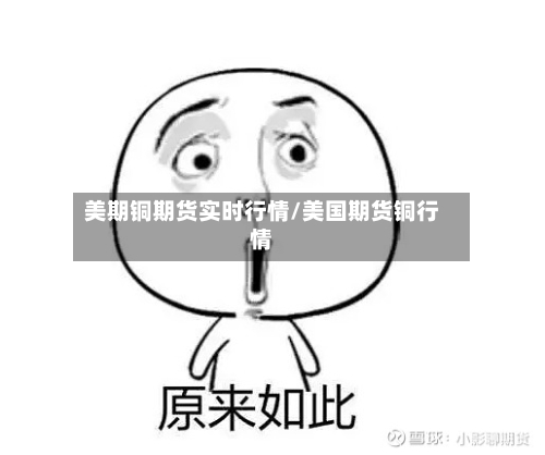 美期铜期货实时行情/美国期货铜行情-第2张图片