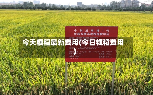 今天粳稻最新费用(今日粳稻费用)-第2张图片