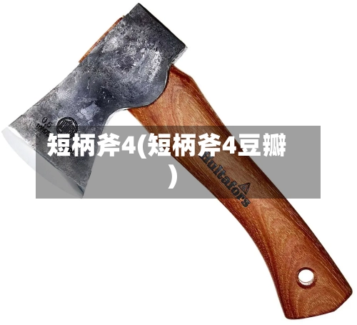 短柄斧4(短柄斧4豆瓣)