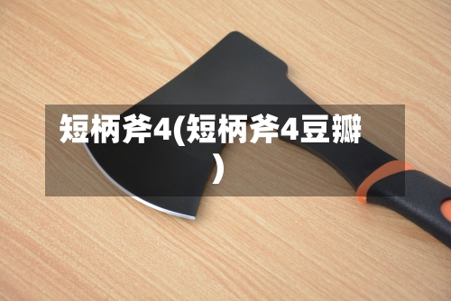短柄斧4(短柄斧4豆瓣)-第3张图片