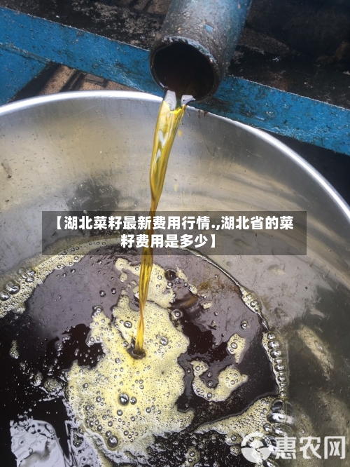 【湖北菜籽最新费用行情.,湖北省的菜籽费用是多少】-第2张图片
