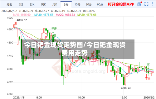 今日钯金现货走势图/今日钯金现货费用走势
