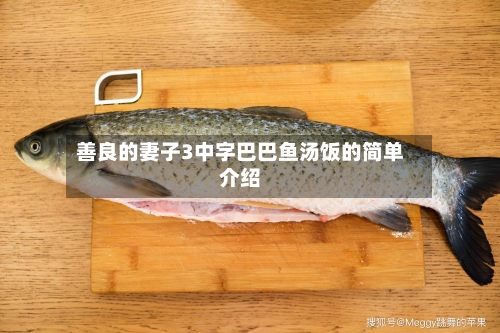 善良的妻子3中字巴巴鱼汤饭的简单介绍-第2张图片