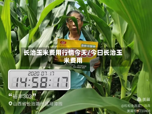 长治玉米费用行情今天/今曰长治玉米费用-第3张图片