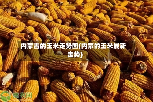 内蒙古的玉米走势图(内蒙的玉米最新走势)