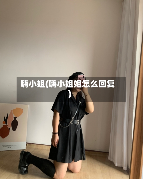 嗨小姐(嗨小姐姐怎么回复)