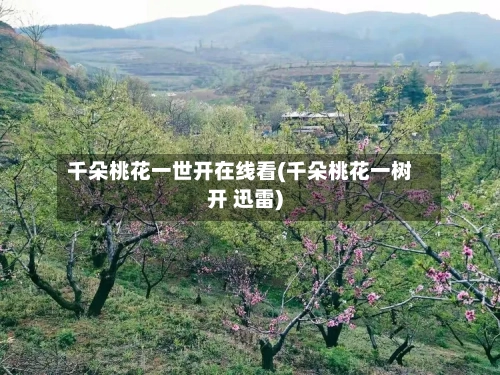 千朵桃花一世开在线看(千朵桃花一树开 迅雷)