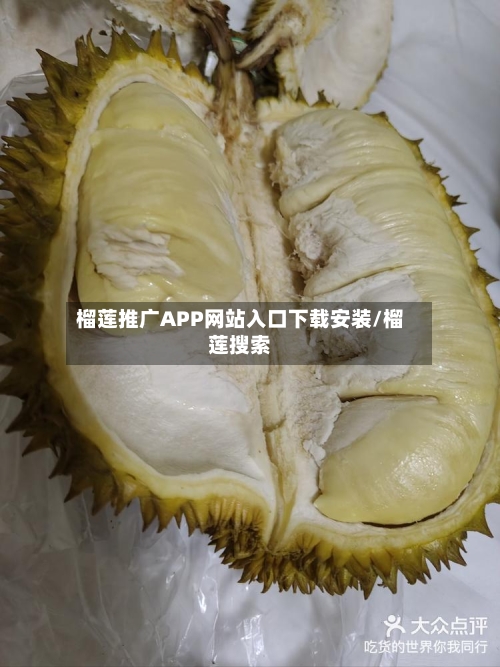 榴莲推广APP网站入口下载安装/榴莲搜索-第3张图片