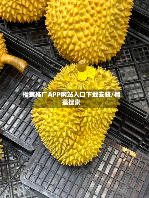 榴莲推广APP网站入口下载安装/榴莲搜索-第2张图片