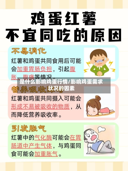 是什么影响鸡蛋行情/影响鸡蛋需求状况的因素