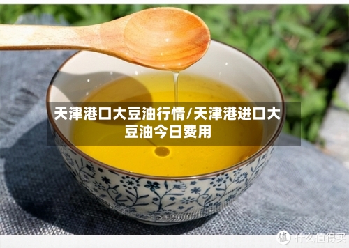 天津港口大豆油行情/天津港进口大豆油今日费用-第3张图片