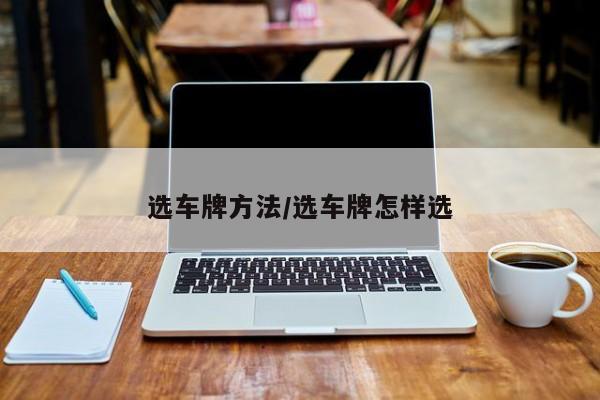 选车牌方法/选车牌怎样选
