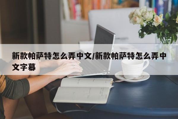 新款帕萨特怎么弄中文/新款帕萨特怎么弄中文字幕