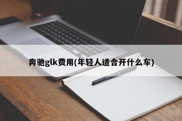 奔驰glk费用(年轻人适合开什么车)